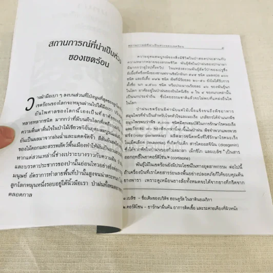 ห่วงใยในป่าฝน รูปที่ 10