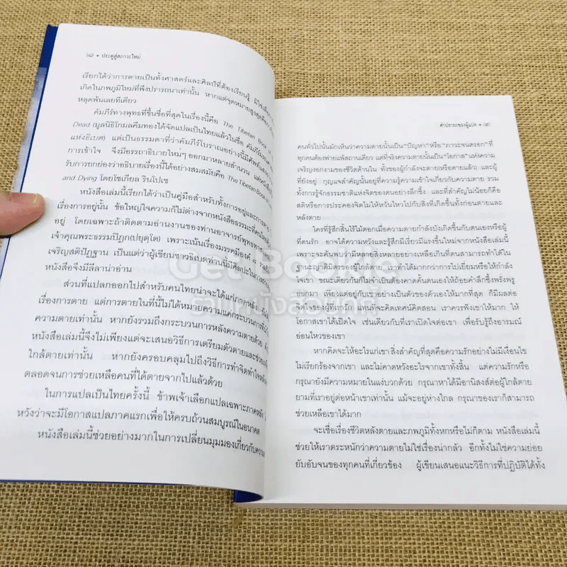 ประตูสู่สภาวะใหม่ จาก The Tibetan Book of Living And Dying รูปที่ 8