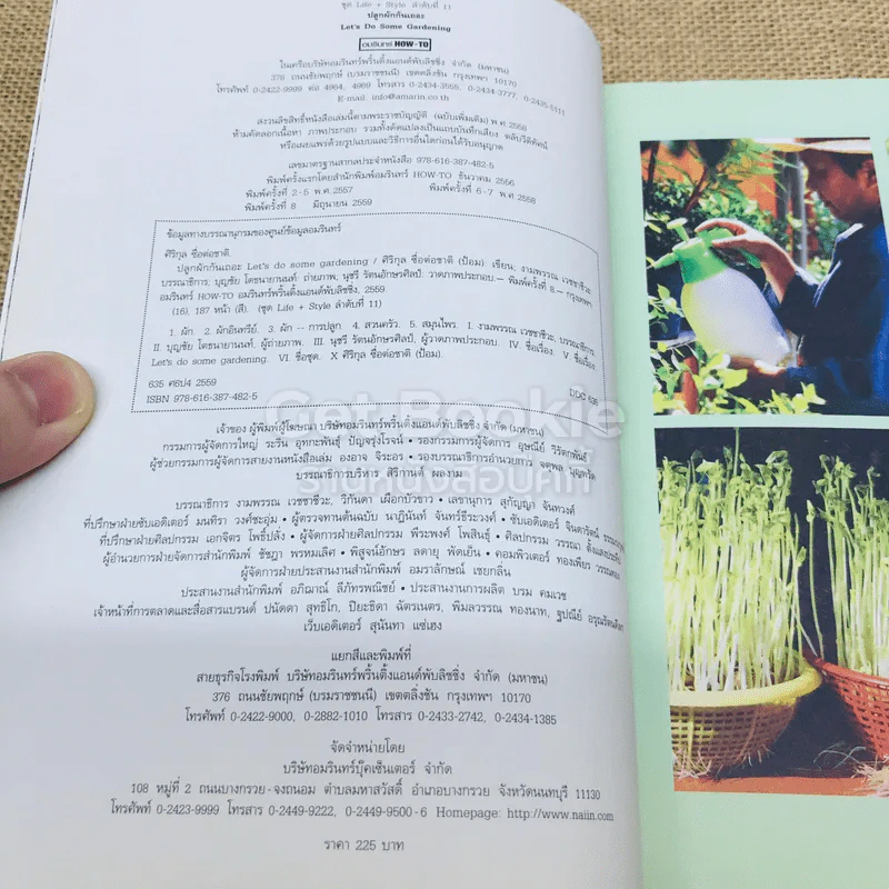 ปลูกผักกันเถอะ รูปที่ 5