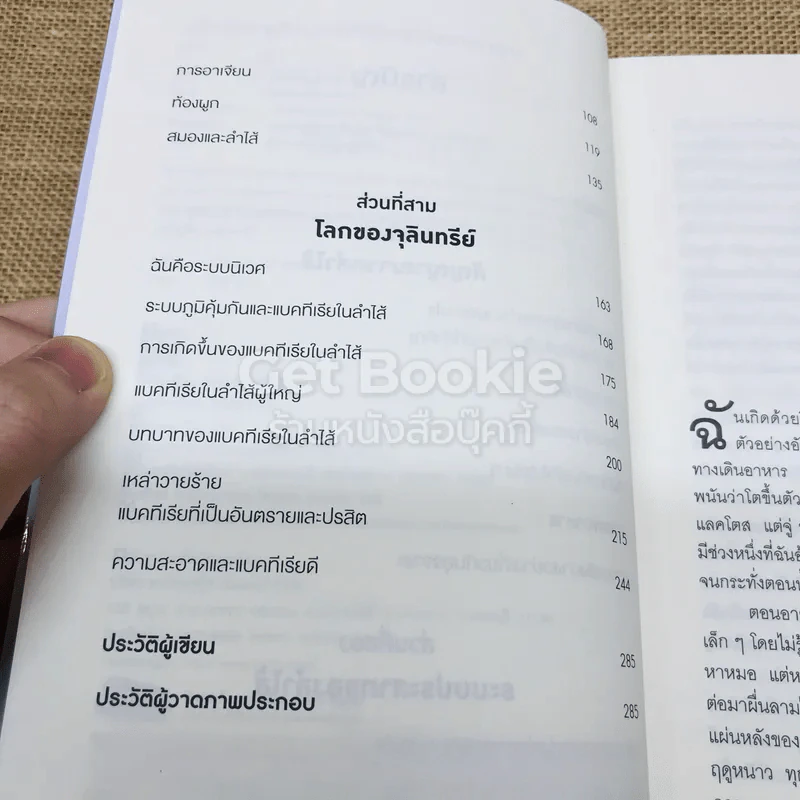 เคล็ดลับอายุยืนจากลำไส้ที่หมอไม่เคยบอกคุณ รูปที่ 6