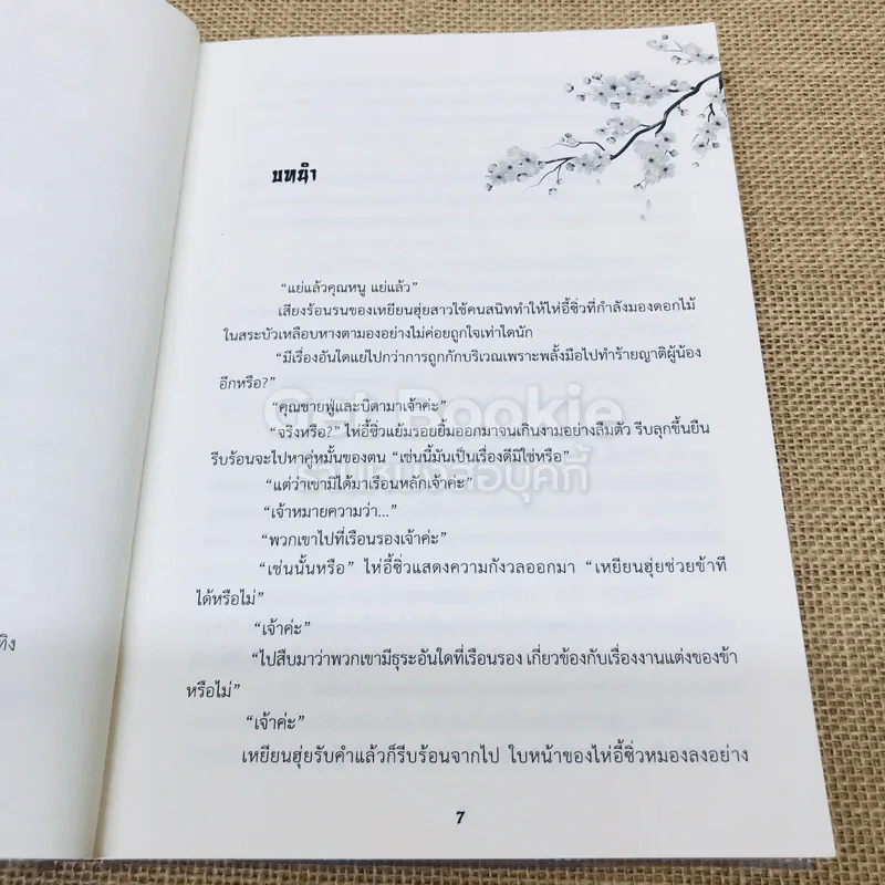 เสน่หายาจก รูปที่ 6