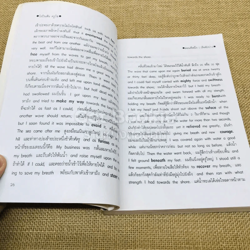 เรียนอังกฤษจากเรื่อง Robinson Crusoe โรบินสัน ครูโซ รูปที่ 14