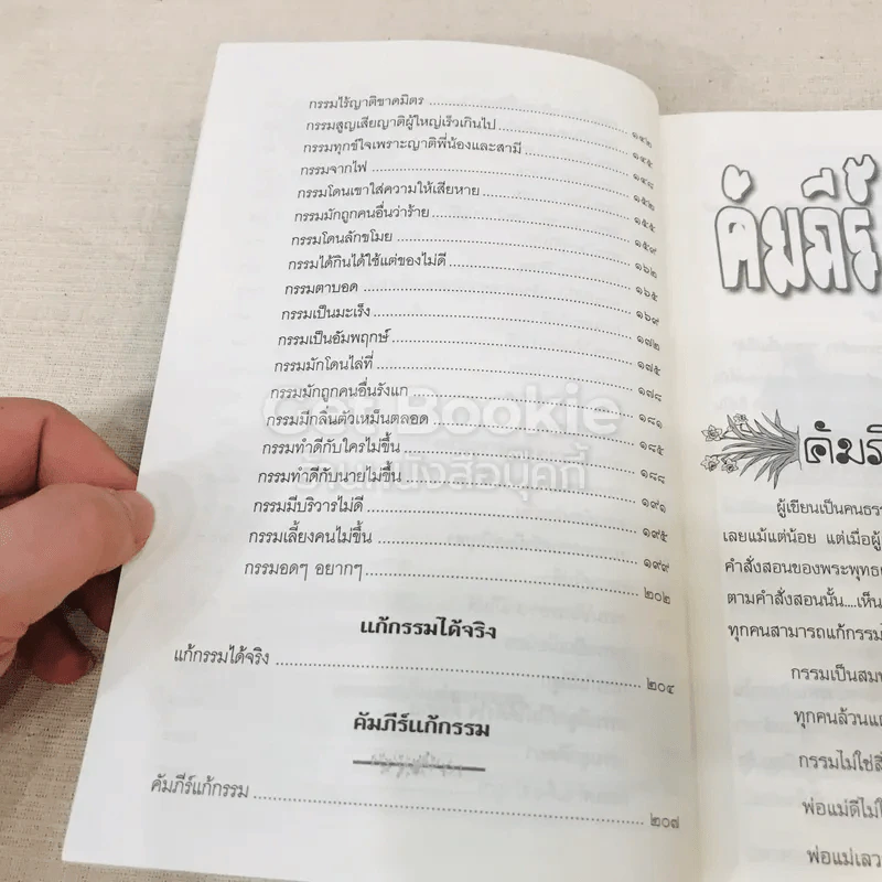 คัมภีร์แก้กรรม รูปที่ 10