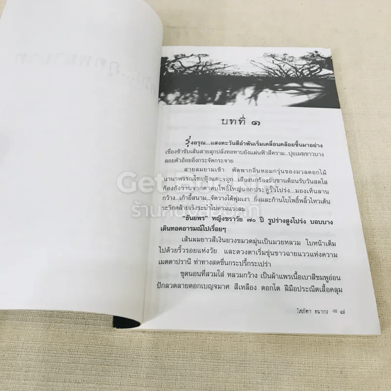 ภูตรัก...ภูตพยาบาท รูปที่ 6