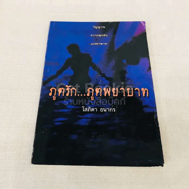 ภูตรัก...ภูตพยาบาท รูปที่ 1