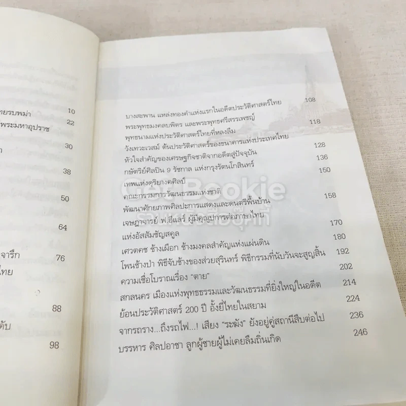 ย้อนรอยสยาม รูปที่ 11