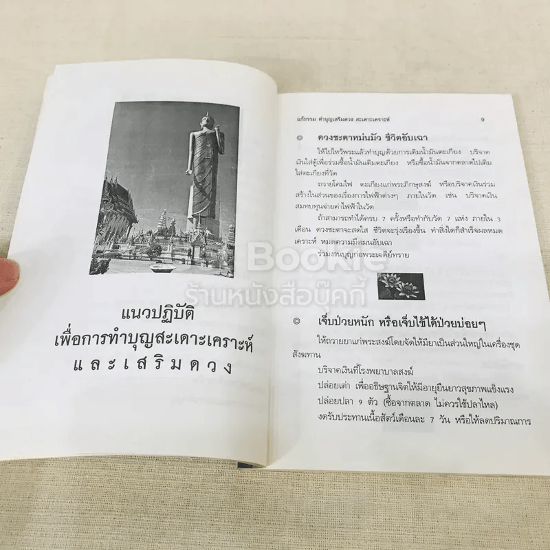 แก้กรรม ทำบุญเสริมดวง สะเดาะเคราะห์ รูปที่ 9