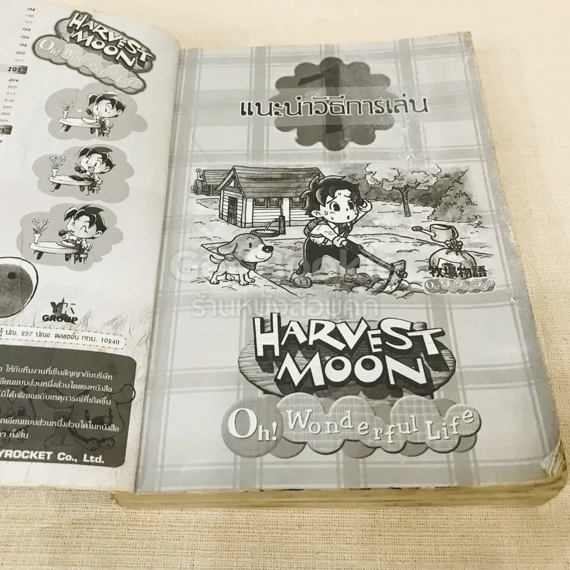 HARVEST MOON Oh Wonderful Life คู่มือสู่ชีวิตอันแสนสุข รูปที่ 6