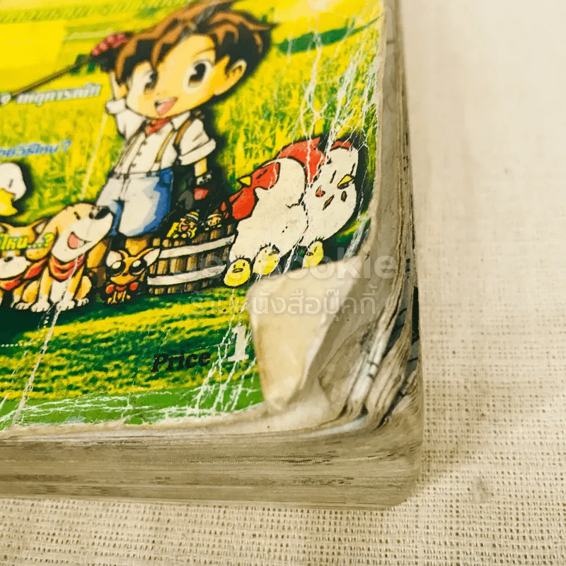 HARVEST MOON Oh Wonderful Life คู่มือสู่ชีวิตอันแสนสุข รูปที่ 9