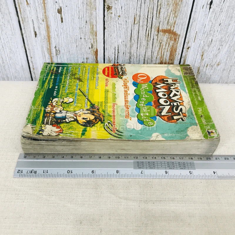 HARVEST MOON Oh Wonderful Life คู่มือสู่ชีวิตอันแสนสุข รูปที่ 3