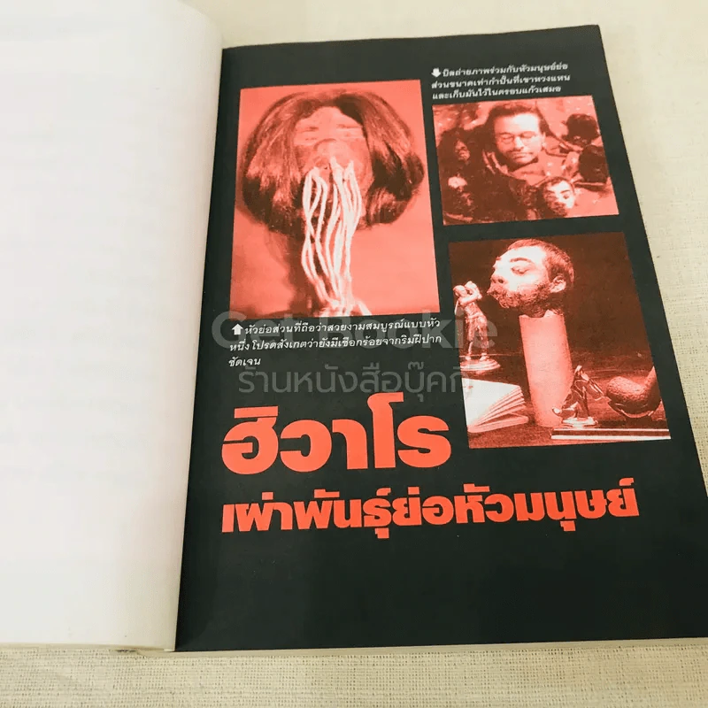 🔴รวมเรื่องโหดเหลือเชื่อ รูปที่ 11