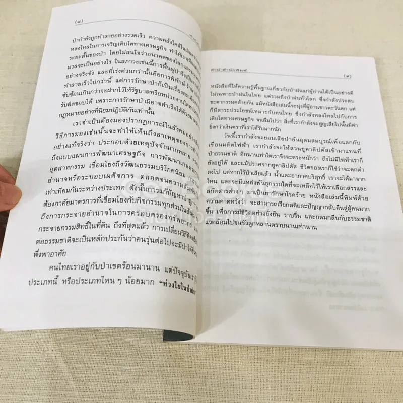 ห่วงใยในป่าฝน รูปที่ 7