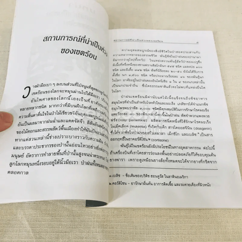 ห่วงใยในป่าฝน รูปที่ 10