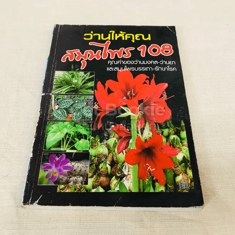 ว่านให้คุณ สมุนไพร 108 รูปที่ 1