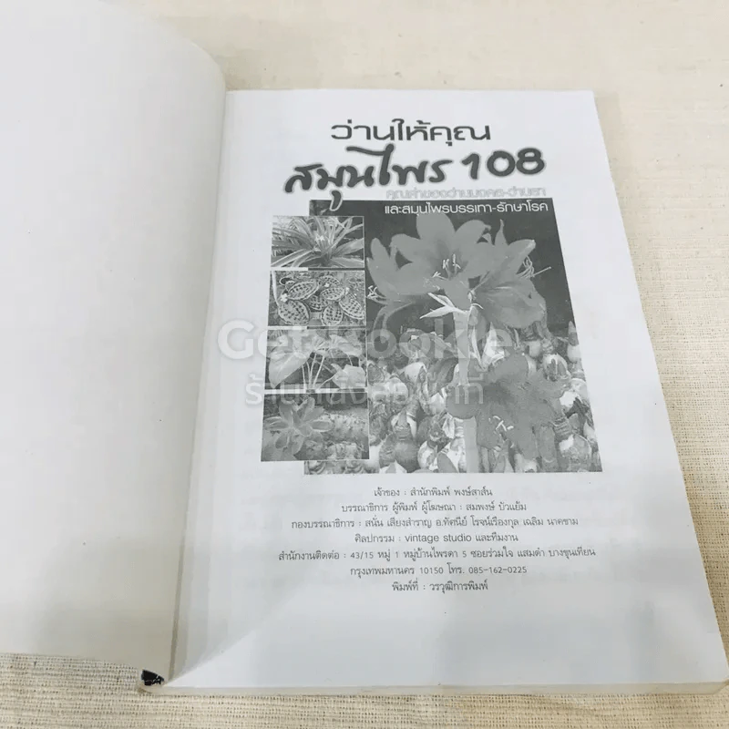 ว่านให้คุณ สมุนไพร 108 รูปที่ 4