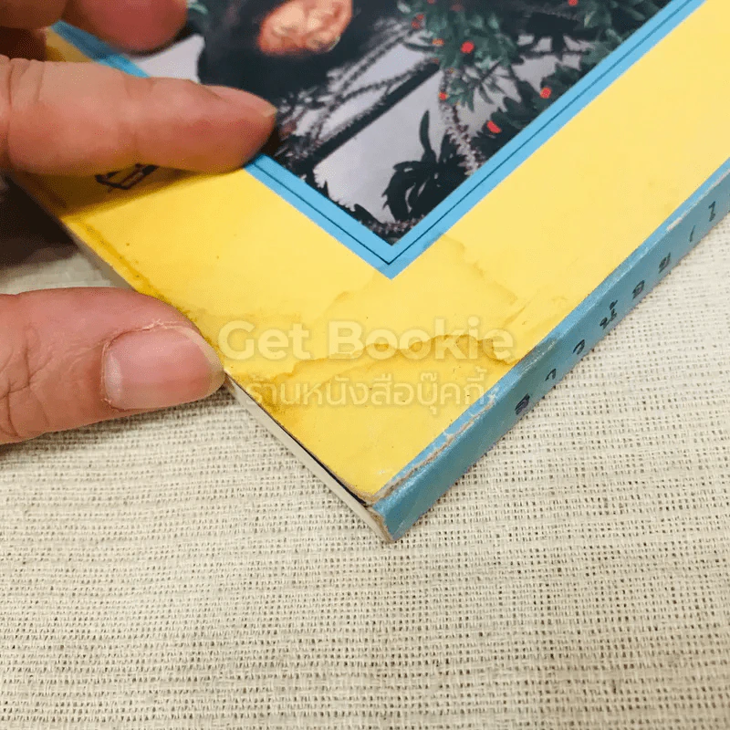 สาวน้อย(ไทย)เมืองฝรั่ง เล่ม 1 รูปที่ 4