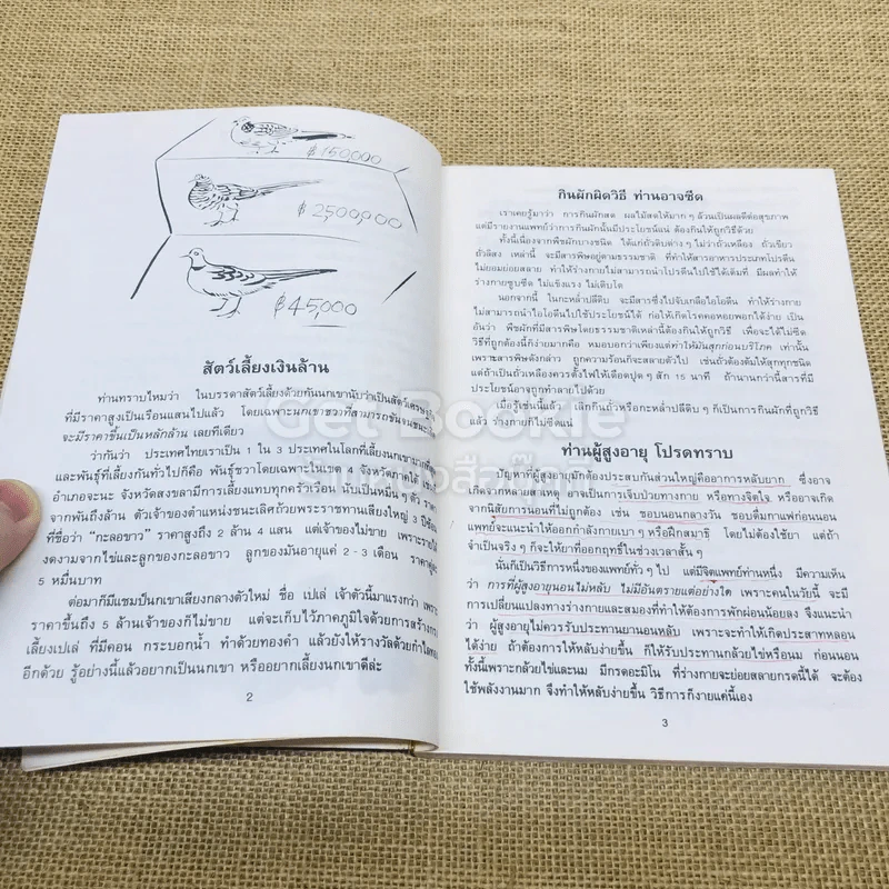 นาทีมีสาระ โดย ธนาคารกสิกรไทย รูปที่ 9