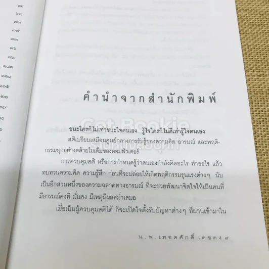 สติบำบัด รูปที่ 8