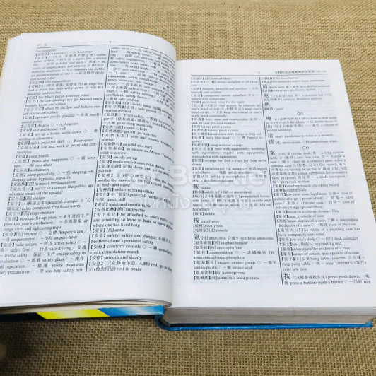 A Modern Chinese-English Dictionary รูปที่ 10
