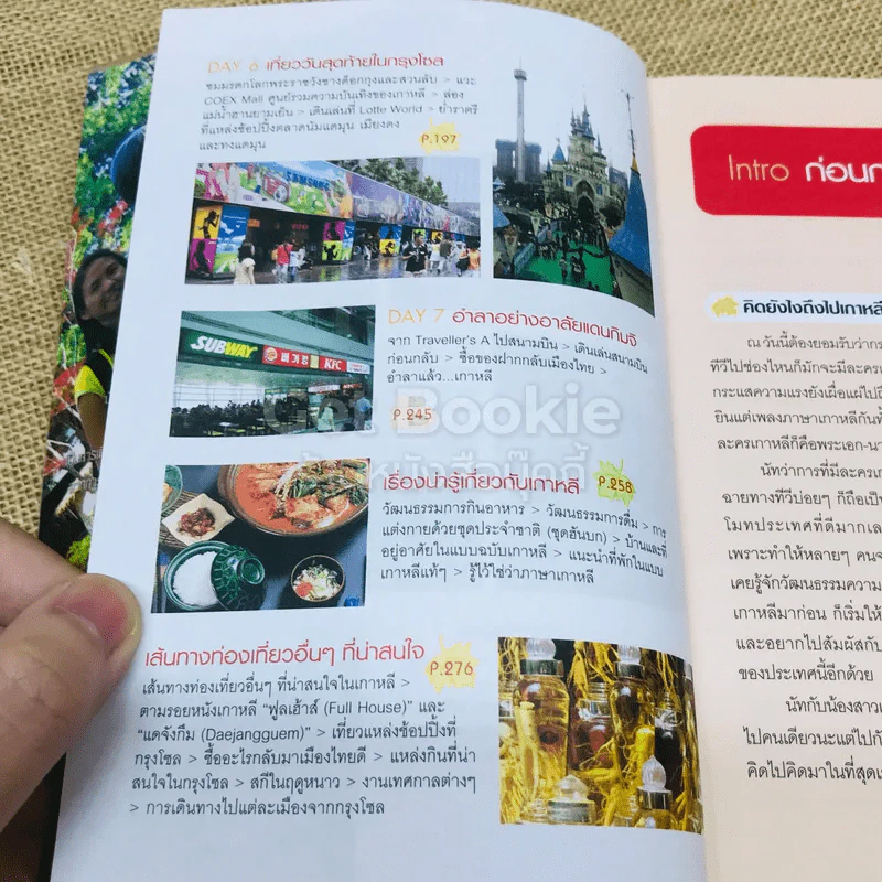 เที่ยวไม่ง้อทัวร์ ตีตั๋วตะลุยเกาหลี รูปที่ 7