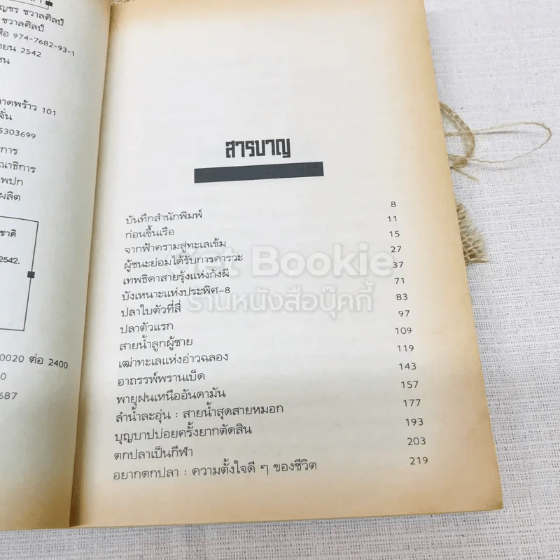 โค้งค้นเหนือคมคลื่น รูปที่ 8