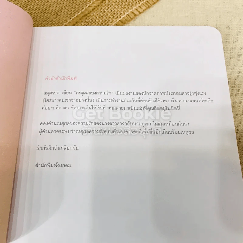 เหตุผลของความรัก รูปที่ 6