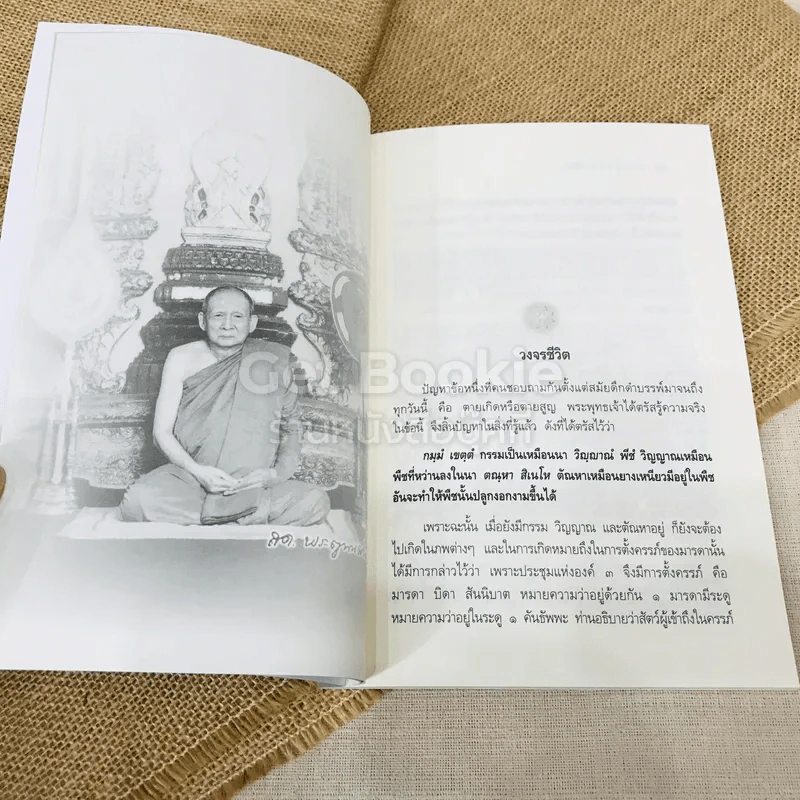 ความเข้าใจเรื่องชีวิต รูปที่ 8