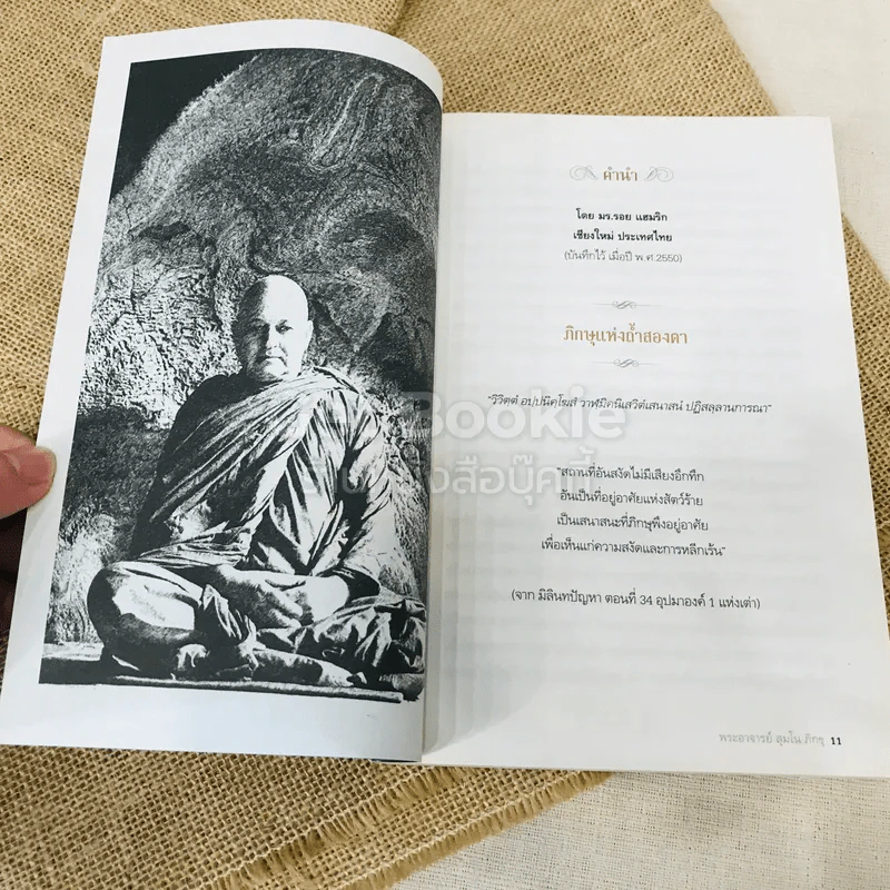 Monk In The Mountain ธรรมะจากพระภูเขา รูปที่ 9