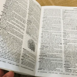 Oxford Advanced Learner's Dictionary รูปที่ 15