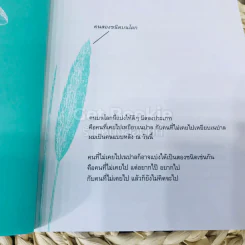 เนปาลประมาณสะดือ รูปที่ 7