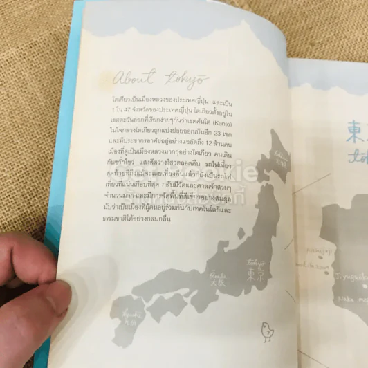 OK GO TOKYO  เที่ยวโตเกียว มองโตเกียว แบบคนอยู่โตเกียว รูปที่ 7