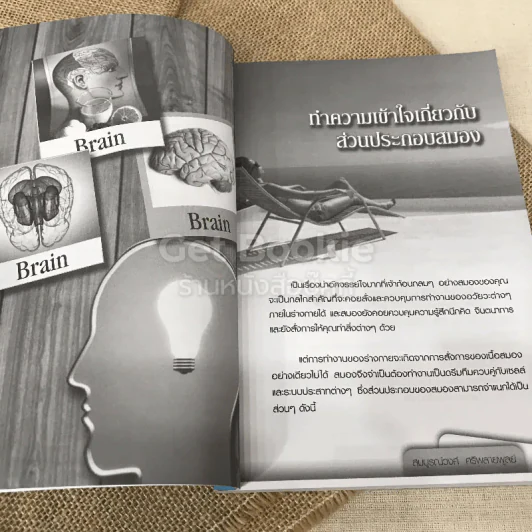 สมอง อวัยวะที่ต้องพัฒนาและดูแลตลอดชีวิต รูปที่ 8