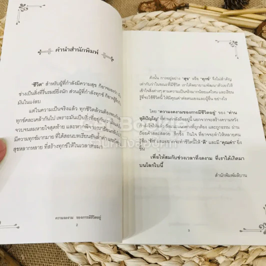 ความงดงามของการมีชีวิตอยู่ รูปที่ 4