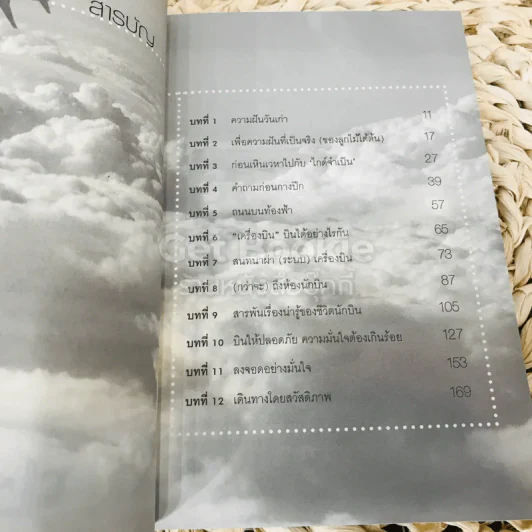 บินเดี่ยวไม่เกี่ยวกับใคร รูปที่ 7