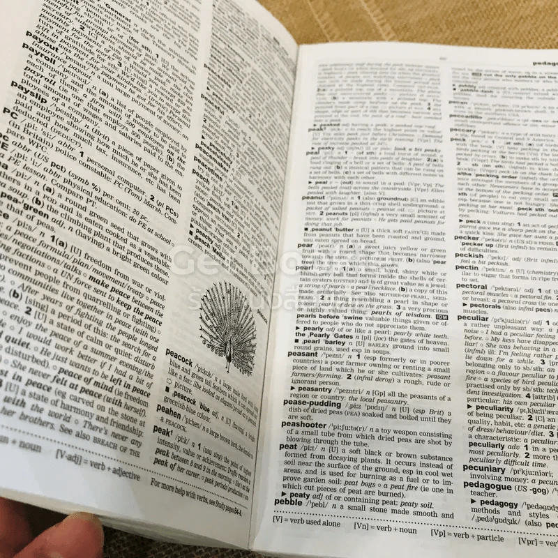 Oxford Advanced Learner's Dictionary รูปที่ 15