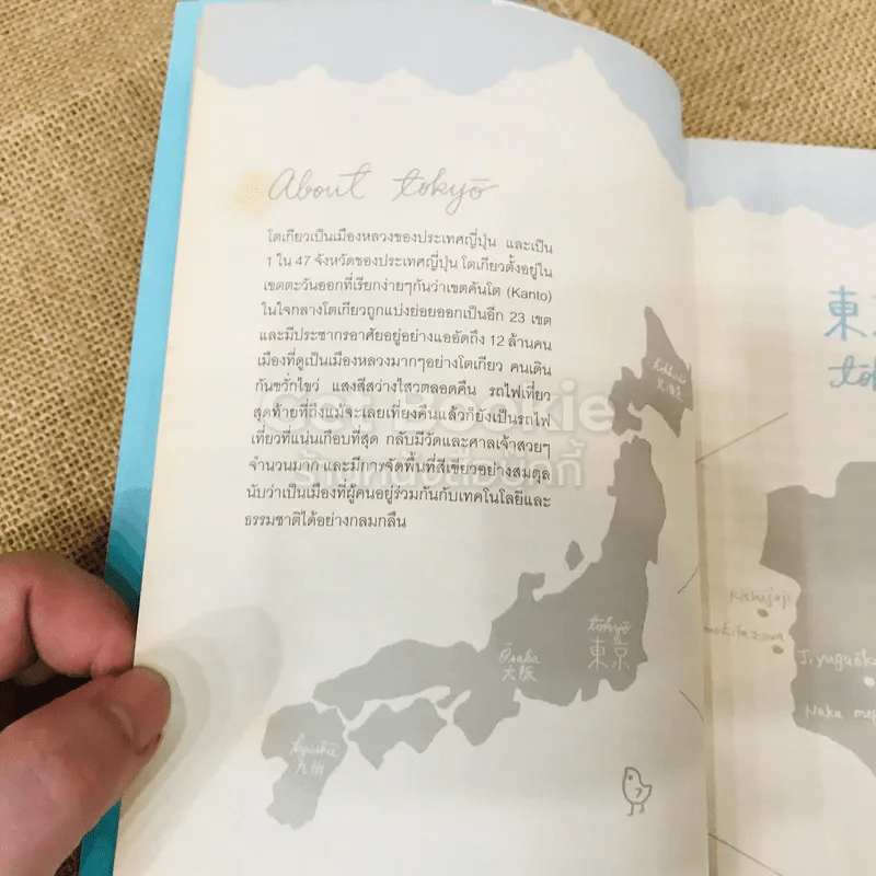 OK GO TOKYO  เที่ยวโตเกียว มองโตเกียว แบบคนอยู่โตเกียว รูปที่ 7