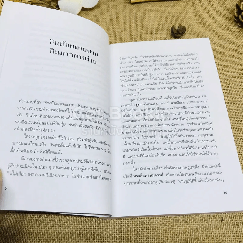 กระยานิยาย - ส.พลายน้อย รูปที่ 11