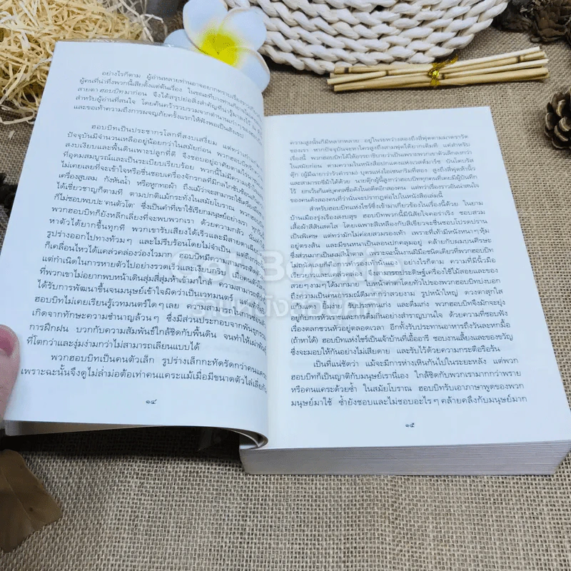 The Lord of the Rings ลอร์ด ออฟ เดอะ ริงส์ 1 ตอนมหันตภัยแห่งแหวน รูปที่ 8
