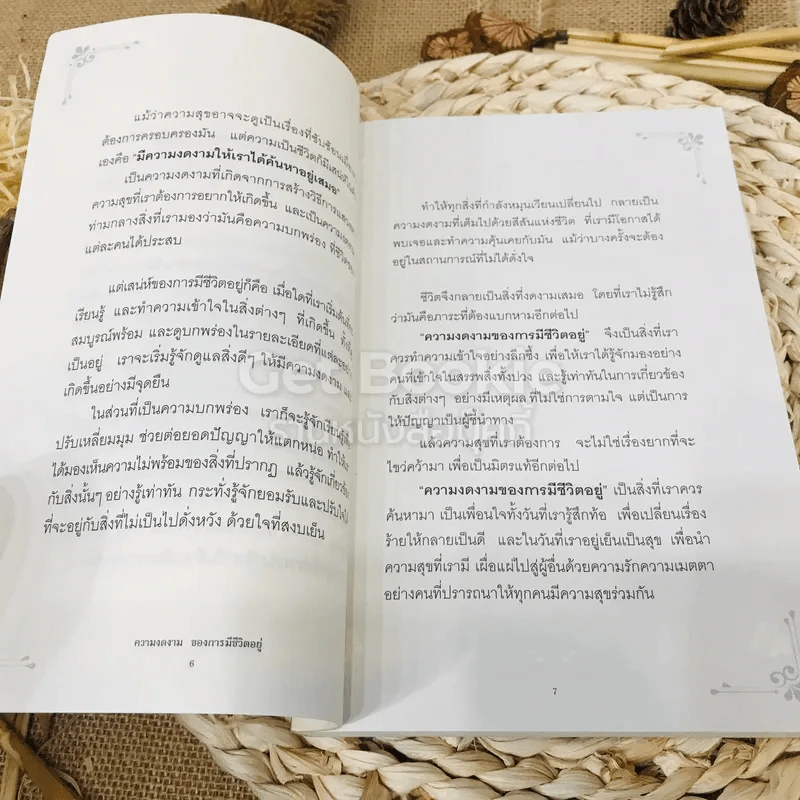 ความงดงามของการมีชีวิตอยู่ รูปที่ 6