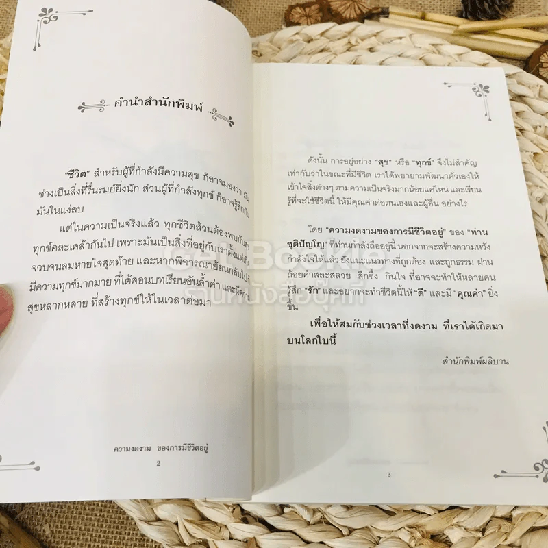 ความงดงามของการมีชีวิตอยู่ รูปที่ 4