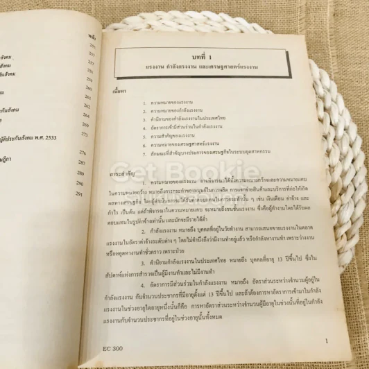 เศรษฐศาสตร์ทรัพยากรมนุษย์ 1 รูปที่ 16