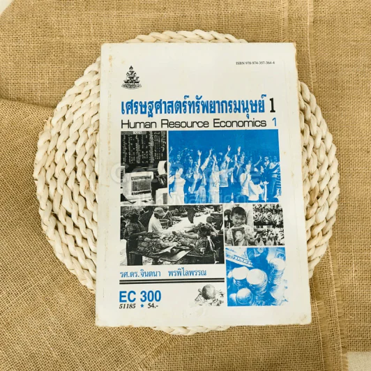 เศรษฐศาสตร์ทรัพยากรมนุษย์ 1 รูปที่ 1