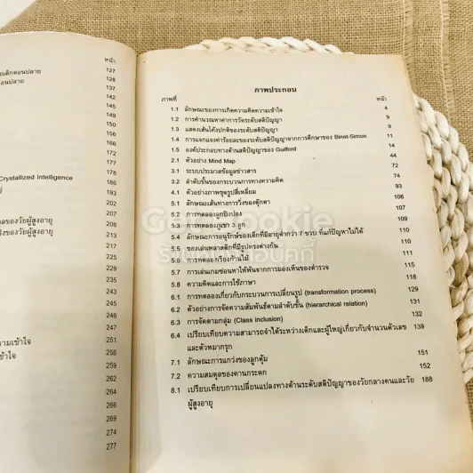 พัฒนาการทางด้านความคิดความเข้าใจ รูปที่ 11
