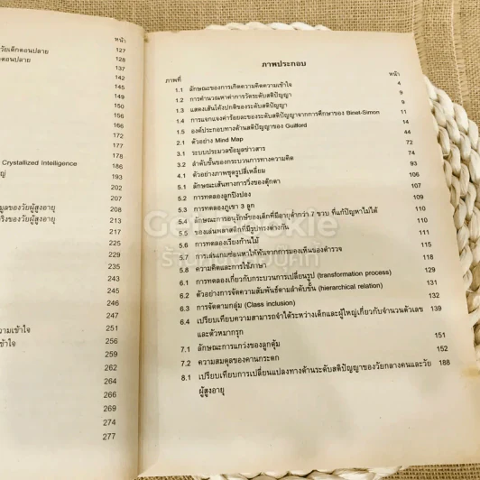 พัฒนาการทางด้านความคิดความเข้าใจ รูปที่ 11