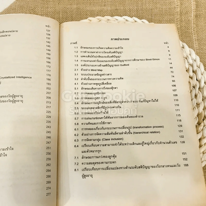 พัฒนาการทางด้านความคิดความเข้าใจ รูปที่ 11