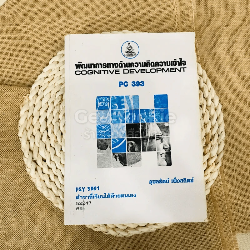 พัฒนาการทางด้านความคิดความเข้าใจ รูปที่ 1