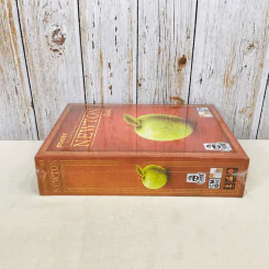 ตามรอยนิวตัน Newton Board Game บอร์ดเกม รูปที่ 3