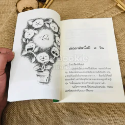 ประะตูสายรุ้ง รูปที่ 8