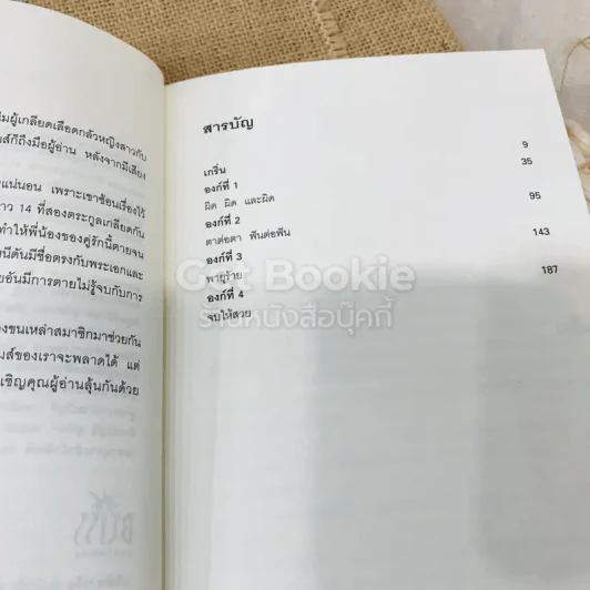 มิเกะเนะโกะ โฮล์มส์ : แมวสามสียอดนักสืบ ตอนคดีพาหนี รูปที่ 8