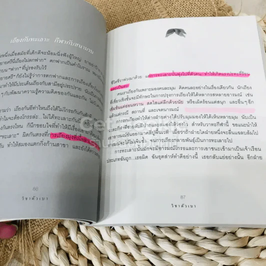 วิชาตัวเบา รูปที่ 13